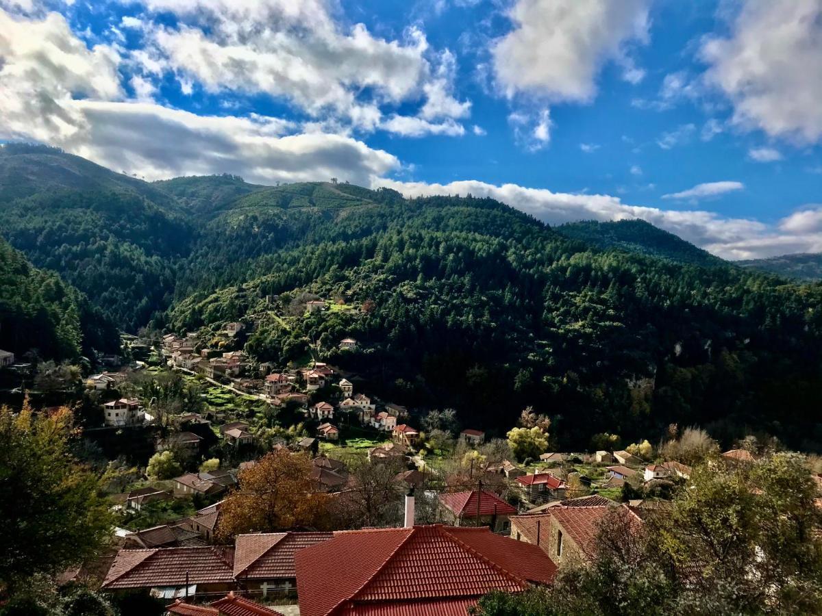 Pritanio Hotel Polídhroson Buitenkant foto